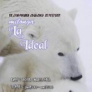 정다운슈즈