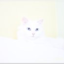 나비호텔 이미지