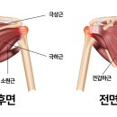 뉴캔운동센터