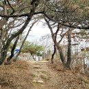 삼호공원 화장실 이미지