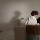 MUTE | 유아 가구 추천ㅣ방 안의 작은 방, 쥬다르 범퍼침대 MUTE 후기