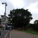 세븐일레븐청라리치아노점 | [대만 타이페이] 단수이 여행 코스 추천