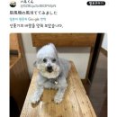 소소농장 네이버블로그