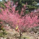 들녁의 하얀집 이미지