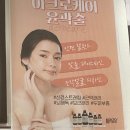 알파전주하가점 | [하가지구 전신관리] 해독순환 아크로케어 디톡스테라피 받았어요 :: 나이스바디&스킨