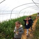 예본어린이집 이미지