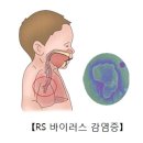 바이러스