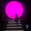 사진전시 | 강릉 아르떼뮤지엄 핑크문✨ 사진 맛집 인정한 감성 전시 후기