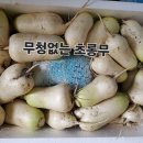 더초롱