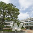 우수영5일시장 이미지