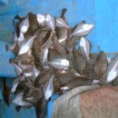 현대낚시 이미지