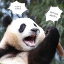 Weekly?_03.10-03.23
