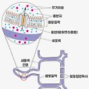 (단기) 재봉 기초&활용(야간) | [K-MOOC] 스마트팜 데이터관리 전문가 기초과정