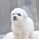 아이러브펫 동물병원 이미지