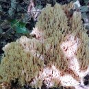 빈이농장 이미지