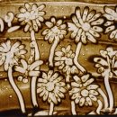 영랑초등학교 이미지