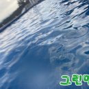 벨르 온수 수영장펜션 이미지