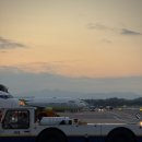 팜팜스테이 | 본점, 함덕 서우봉 해변, 글로시 말차, 다랑쉬 오름, 제동목장, 팜팜 스테이, 각지불, 온평바다한그릇)