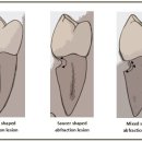서울휴먼치과의원 이미지