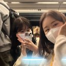 마리오 | 도쿄 마리오카트 후기｜아키하바라 여행 중 제일 재밌었던 순간