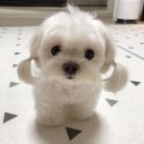 우리글주