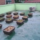 원종2동 주민센터 이미지