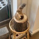 산정목장 1 이미지