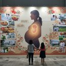 발달장애인을 위한 취업 교육 알쓸대사_취업준비반 | 임신진단서 복지혜택 완벽정리