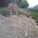 수철농장 이미지