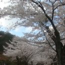 용수탕 이미지