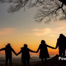 사랑나무 이미지