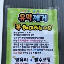 대박손세차 이미지
