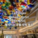 벨라지오호텔 | [미국 라스베가스 여행] 라스 베가스 벨라지오 호텔 투숙 후기 숙박 요금 구경할만한 곳 싸게 예약 꿀팁