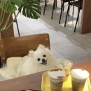 임당역 5번출구 이미지