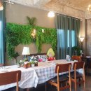 제주청년돼지 이미지