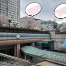 평촌광장약국 이미지