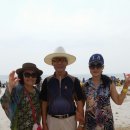 팽고 팽고 이미지