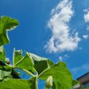 스테이 서종 이미지