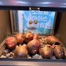 패스세븐 | 구독으로 관리하는 새해 맞이 일상 소비 (우주패스 투썸+파바+세븐일레븐 할인 후기)