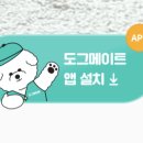 도그PC 이미지