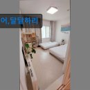 동해시-63 | 강원도 묵호 동해 숙소 펜션 어,달달하리 편안한 독채 숙소