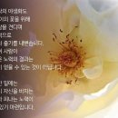 재우