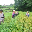 안도마을회관 이미지