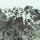 시골풍경 이미지