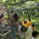 에코왕곡마을 이미지