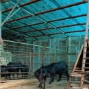 김정우 농장 이미지