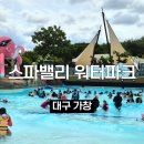 스파밸리 - 천안시 서북구 성정공원5로 10-13 | 대구 아이와 가볼만한 스파밸리 워터파크 후기, 내돈내산 할인 꿀팁