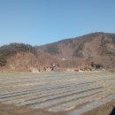 화촌농협주유소 이미지