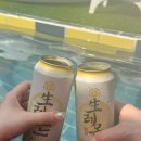 240st. | [가평] 독채 수영장 풀빌라 펜션 내돈내산 이용후기 '240st'