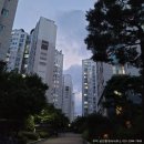 단지내로얄포레공인중개사사무소 이미지